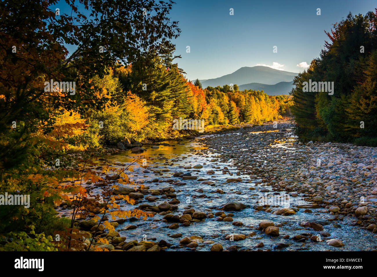 La couleur en automne le long de la rivière Peabody à White Mountain National Forest, New Hampshire. Banque D'Images