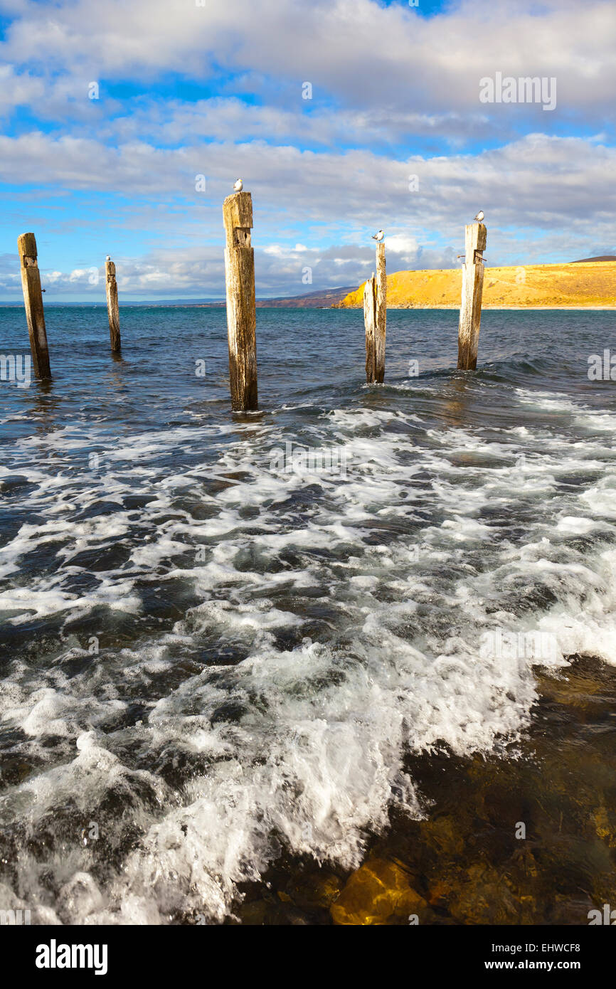 Ruines de la jetée de la côte les roches marines côtières littoral Myponga Seascape Beach Péninsule de Fleurieu Australie Australie du Sud Banque D'Images