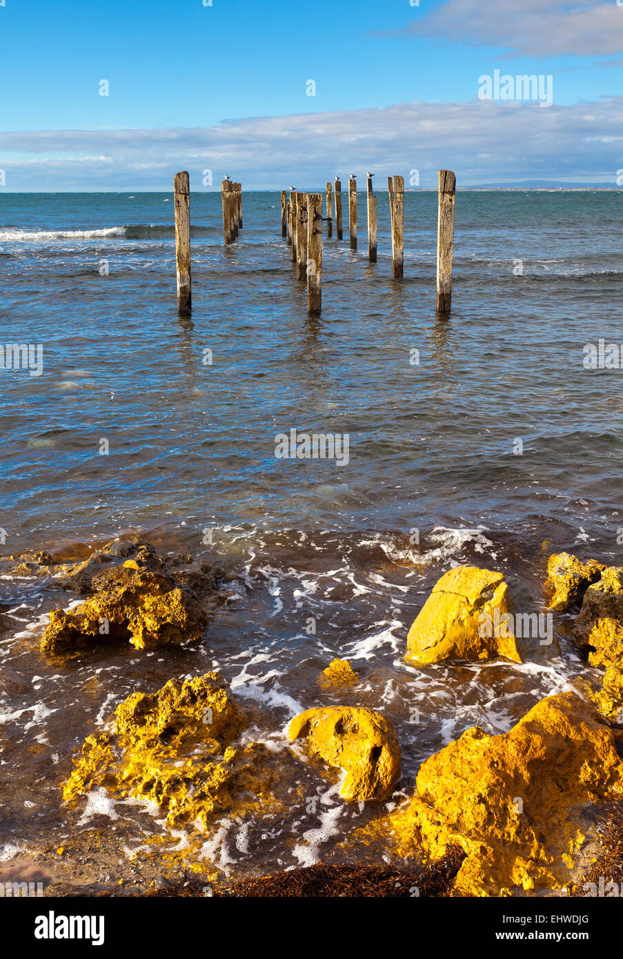 Ruines de la jetée de la côte les roches marines côtières littoral Myponga Seascape Beach Péninsule de Fleurieu Australie Australie du Sud Banque D'Images