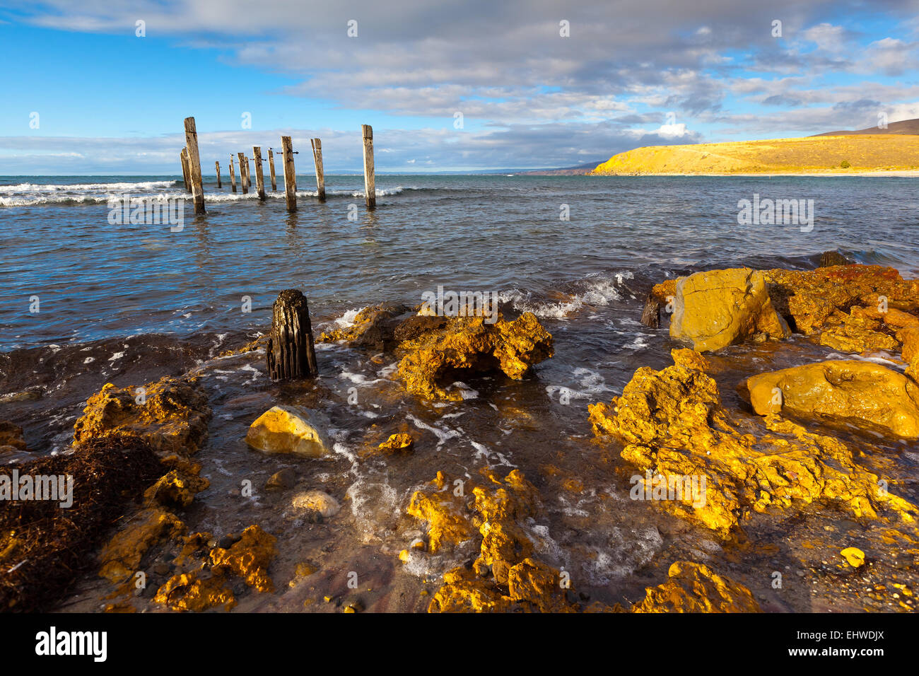 Ruines de la jetée de la côte les roches marines côtières littoral Myponga Seascape Beach Péninsule de Fleurieu Australie Australie du Sud Banque D'Images