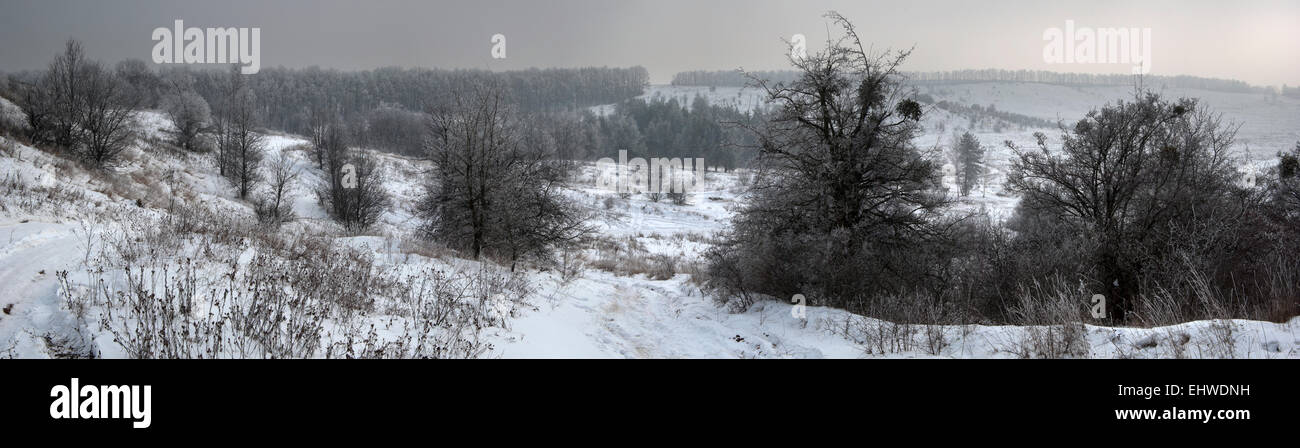 Panorama paysage d'hiver avec des collines.Europe.L'Ukraine.Kharkov. Banque D'Images
