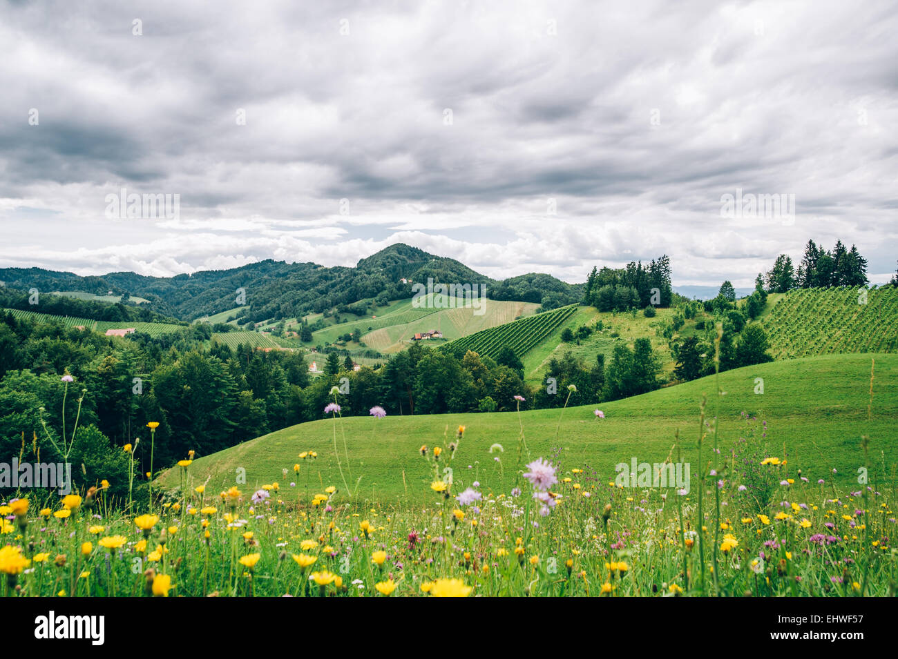 Paysage en Styrie Banque D'Images