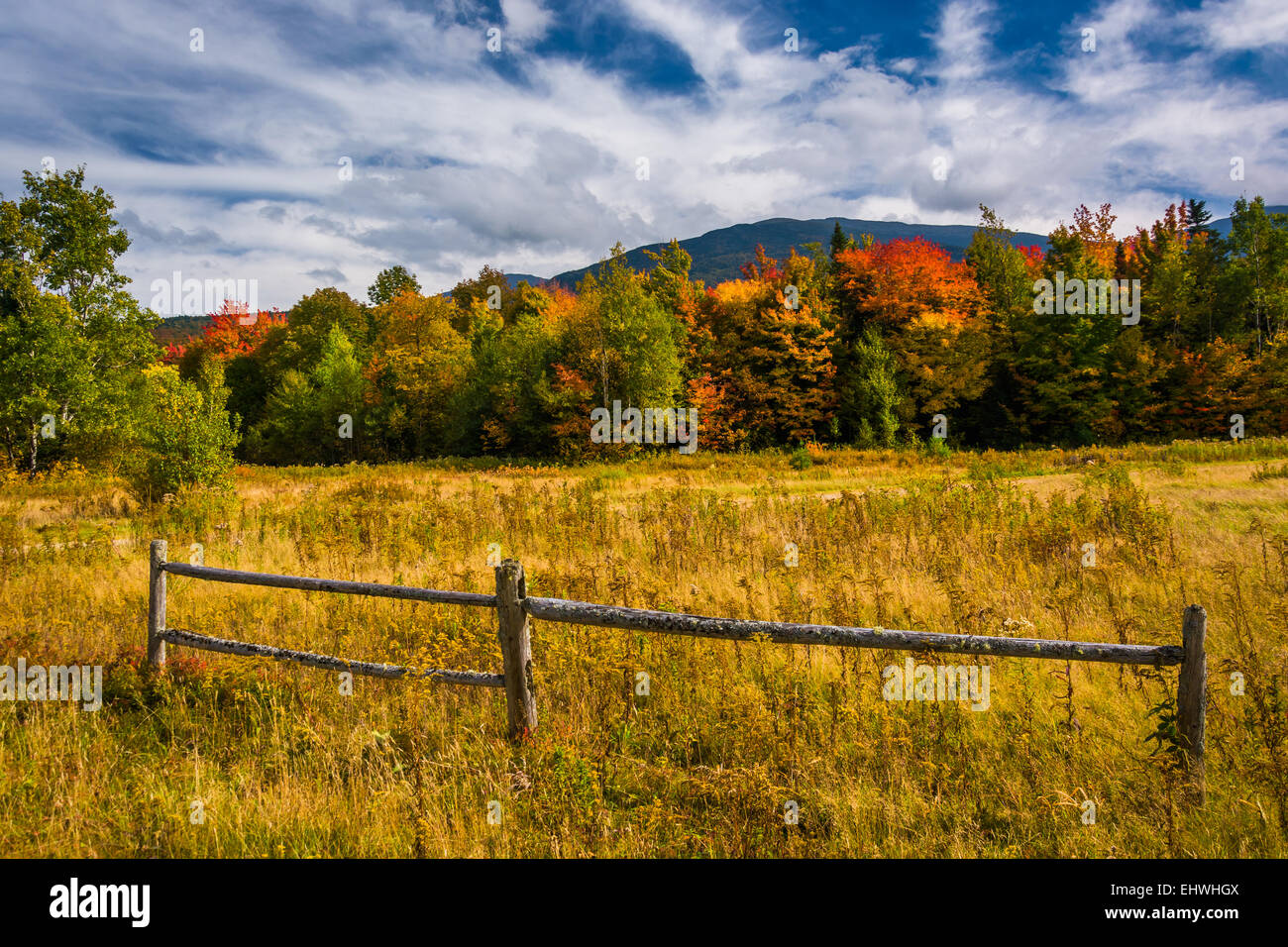 Clôture et la couleur en automne dans la région de White Mountain National Forest, New Hampshire. Banque D'Images