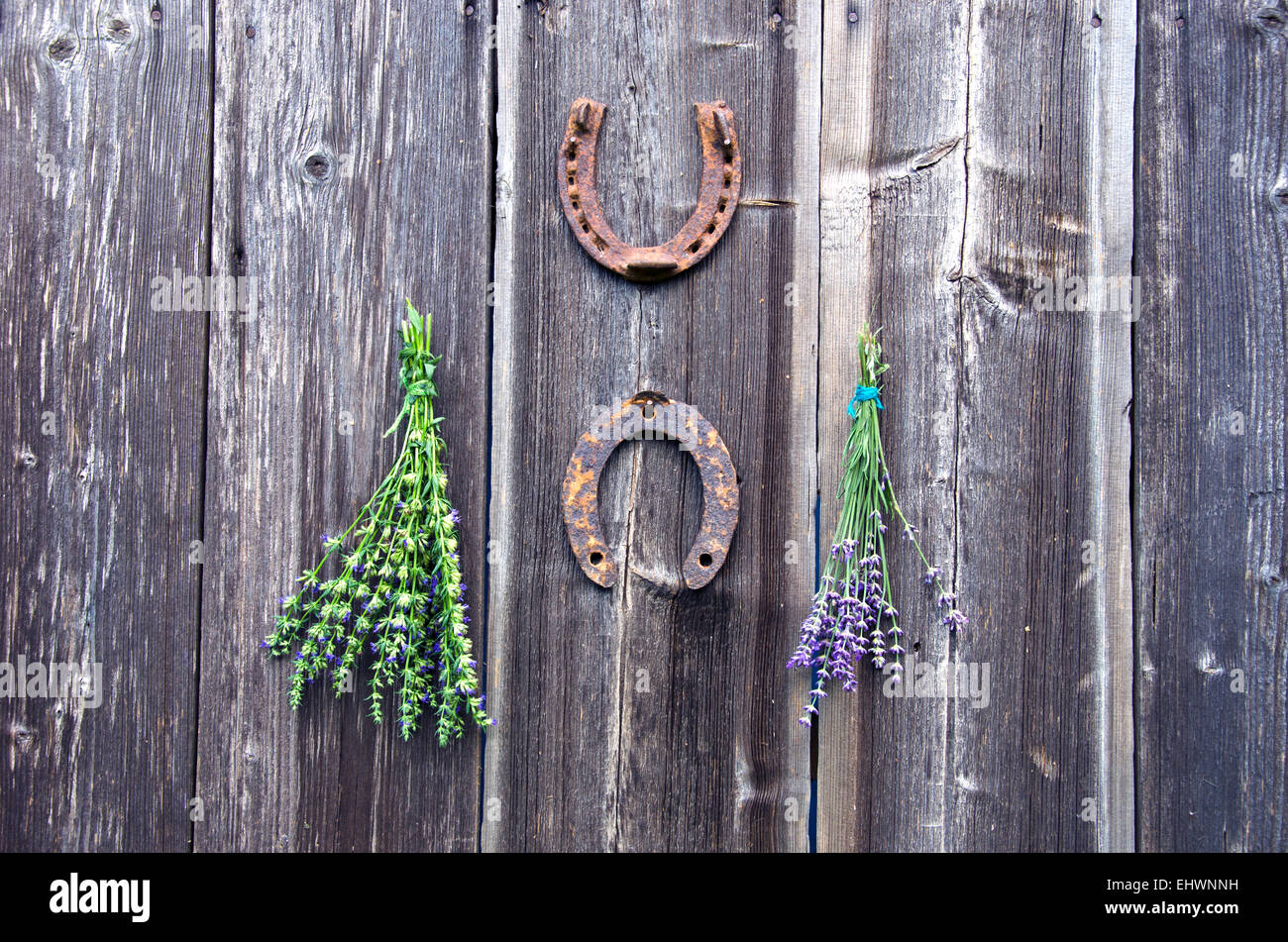 Un bouquet de fers à cheval rouillés accrochés à un mur en bois photo –  Photo Canada Gratuite sur Unsplash