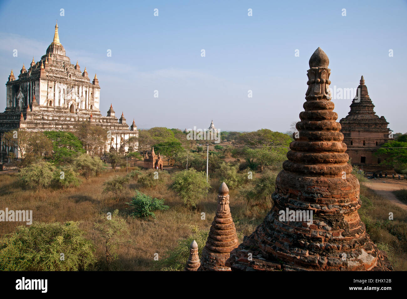 La Pagode Thatbyinnyu est grand parmi la végétation sur la plaine de Bagan Myanmar poussiéreux Banque D'Images