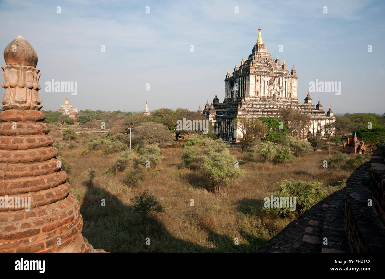 La Pagode Thatbyinnyu est grand parmi la végétation sur la plaine de Bagan Myanmar poussiéreux Banque D'Images