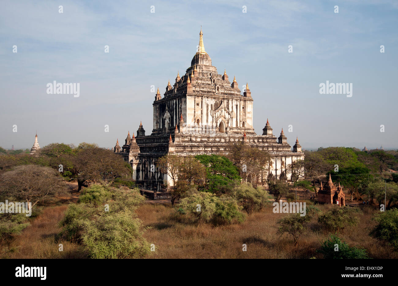 La Pagode Thatbyinnyu est grand parmi la végétation sur la plaine de Bagan Myanmar poussiéreux Banque D'Images