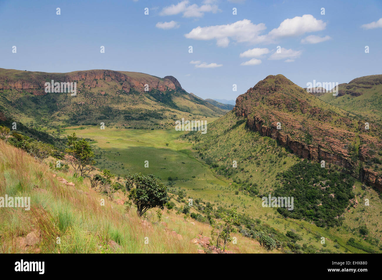 Paysage avec des rochers et l'herbe dans le parc national de Marakele, montagnes Waterberg, province du Limpopo, Afrique du Sud Banque D'Images