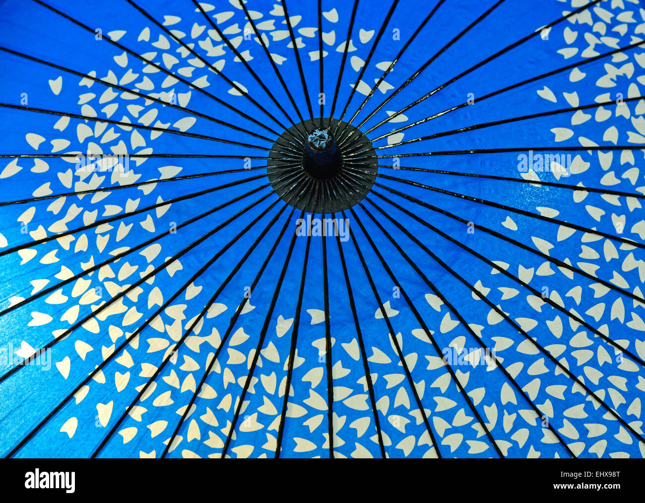 Huile bleu traditionnel parapluie de papier, de style japonais avec des pétales de fleur de cerisier, Japon Banque D'Images