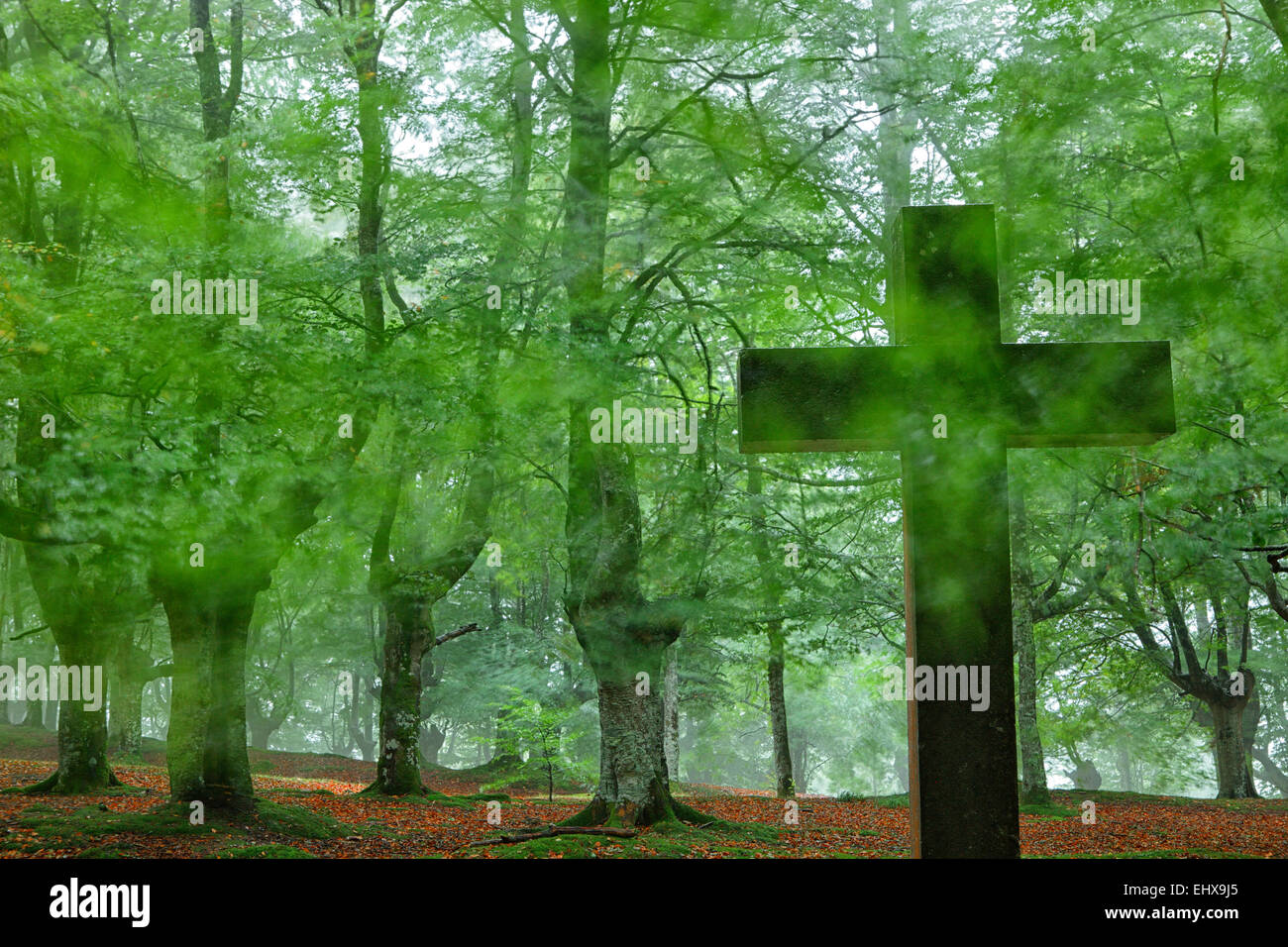 L'Espagne, sous des arbres au parc naturel Urkiola Banque D'Images