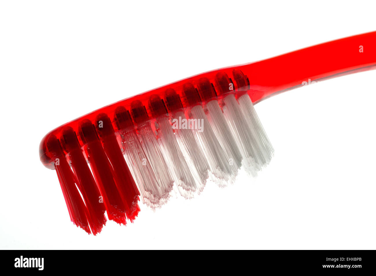 Brosse à dents rouge translucide Banque D'Images