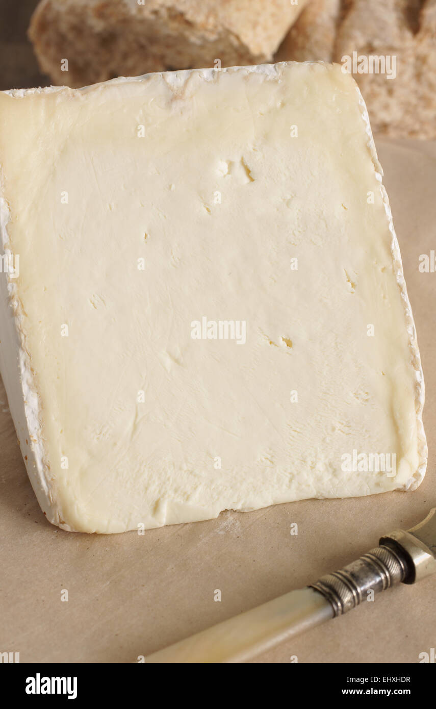 Vignotte une forte teneur en gras français style Brie crème fromage fabriqué dans la région Champagne-Ardenne de Normandie Banque D'Images
