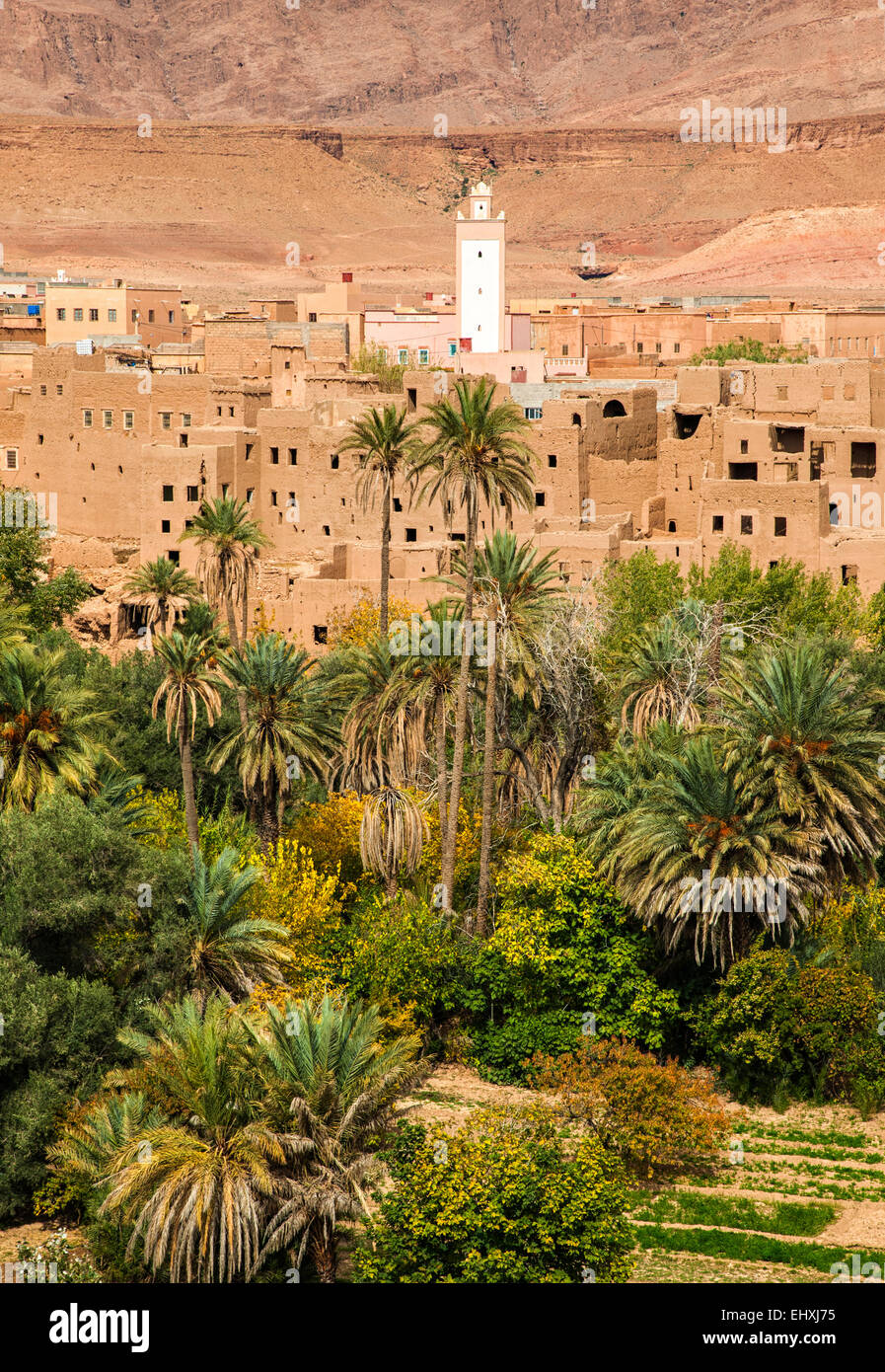 Vue de ville de Tinghir au Maroc, oasis de Todra Banque D'Images