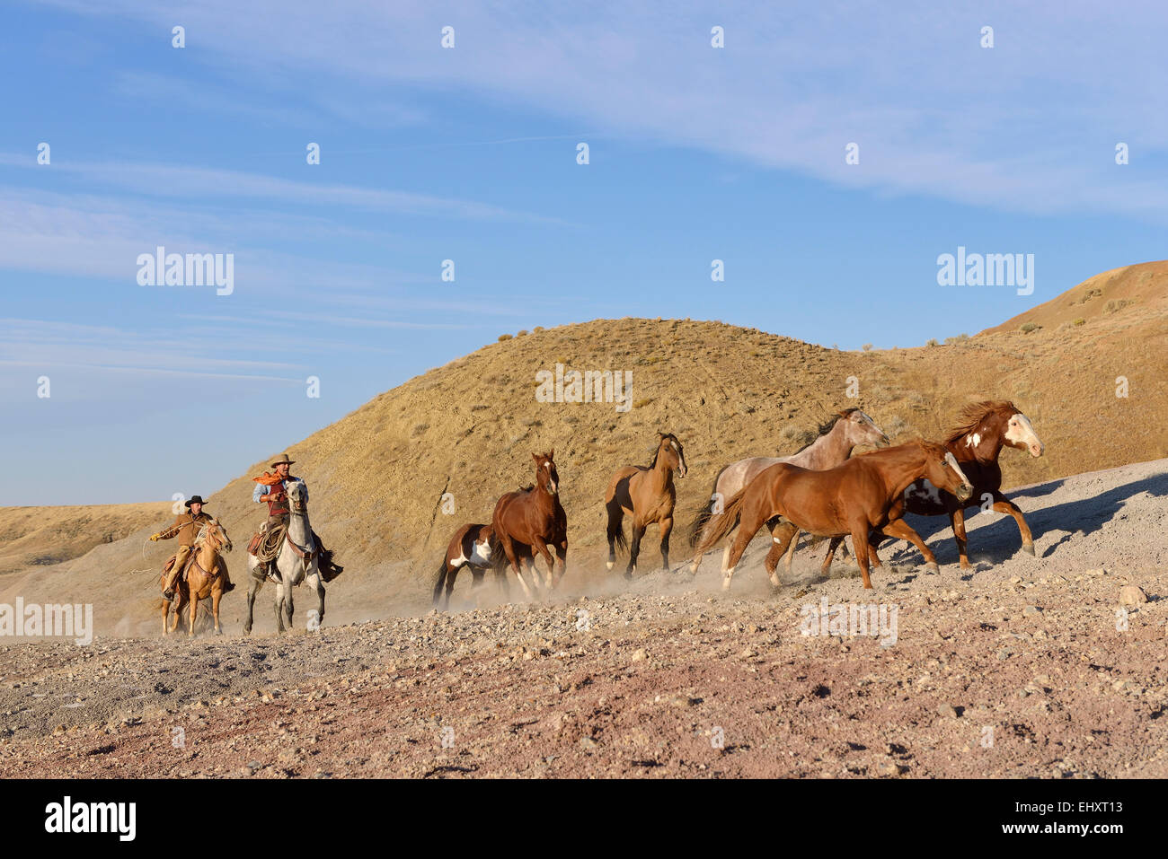 USA, Wyoming, deux troupeaux de chevaux dans badlands cowboys Banque D'Images