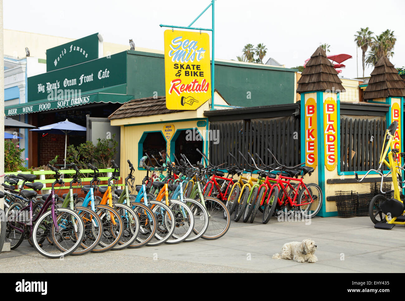 Sea Mist Vacances sur Ocean Front Walk, Santa Monica, Californie, USA Banque D'Images