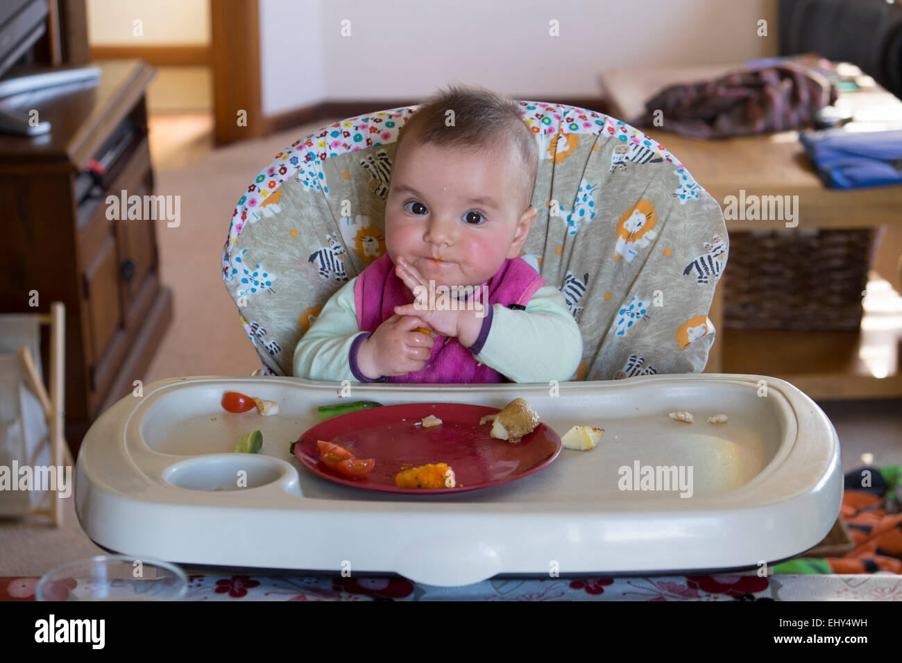 8 mois bébé fille manger des aliments dans une chaise haute Banque D'Images