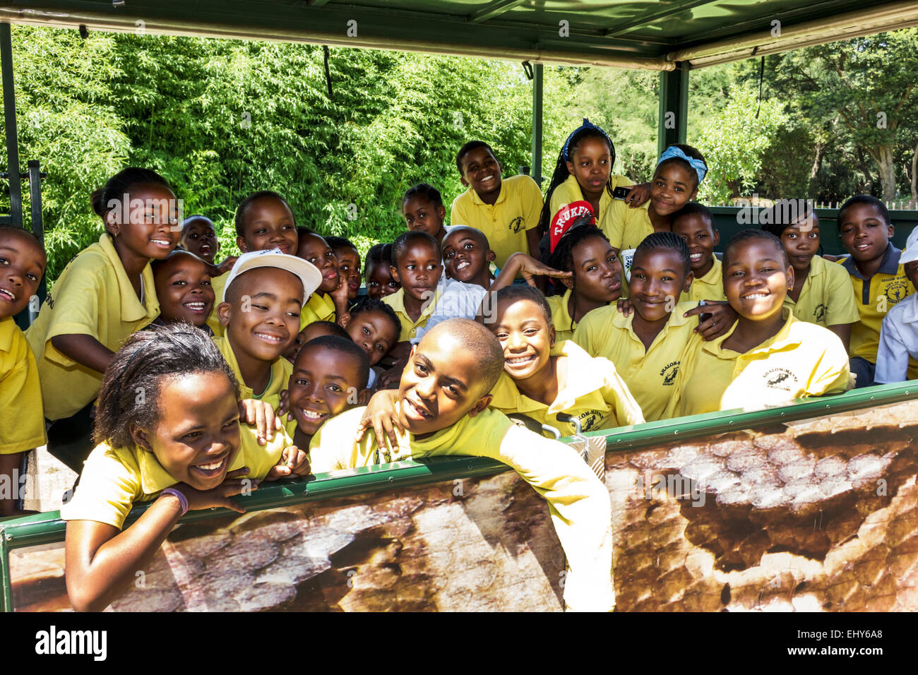 Johannesburg Afrique du Sud,Zoo,Noir garçons garçons enfants filles filles,jeunes filles,étudiants en classe voyage sur le terrain,SAfri150304035 Banque D'Images