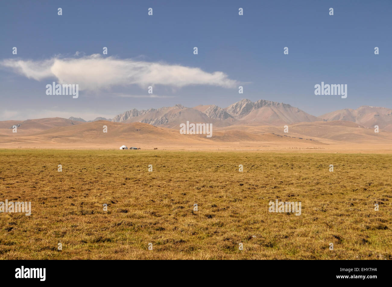 Vue panoramique sur le paysage traditionnel sur les prairies vertes au Kirghizstan Banque D'Images