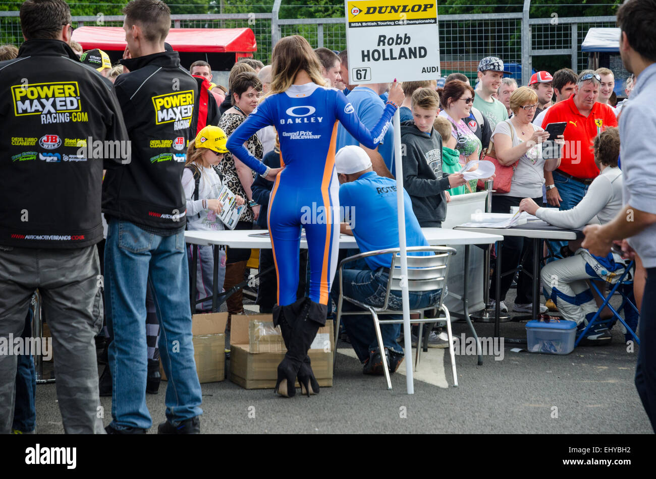 Robb Hollande, signe des autographes lors de la signature de la voie des stands à la British Touring Car Championships (BTCC) au circuit d'Oulton Park Banque D'Images