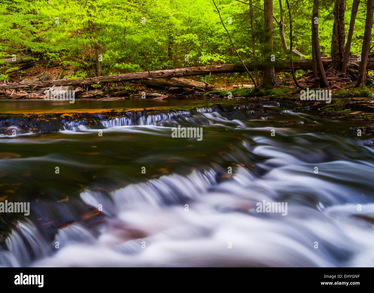 Au-dessus de Cascades en Ganoga Ganoga Falls, Glen Ricketts Glen State Park, New York. Banque D'Images