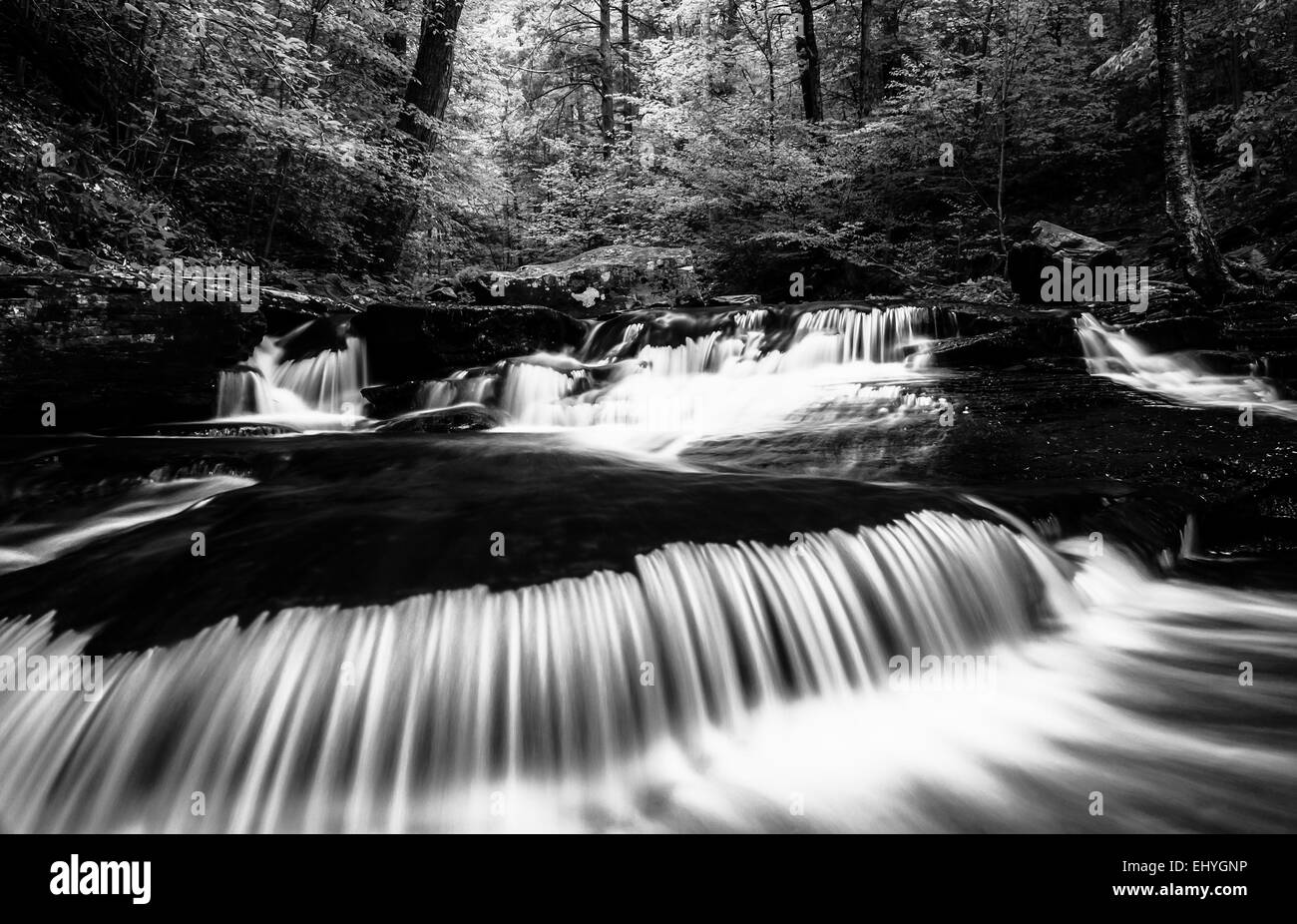 Cascades et printemps lumineux verts sur Glen Leigh, dans Ricketts Glen State Park, New York. Banque D'Images
