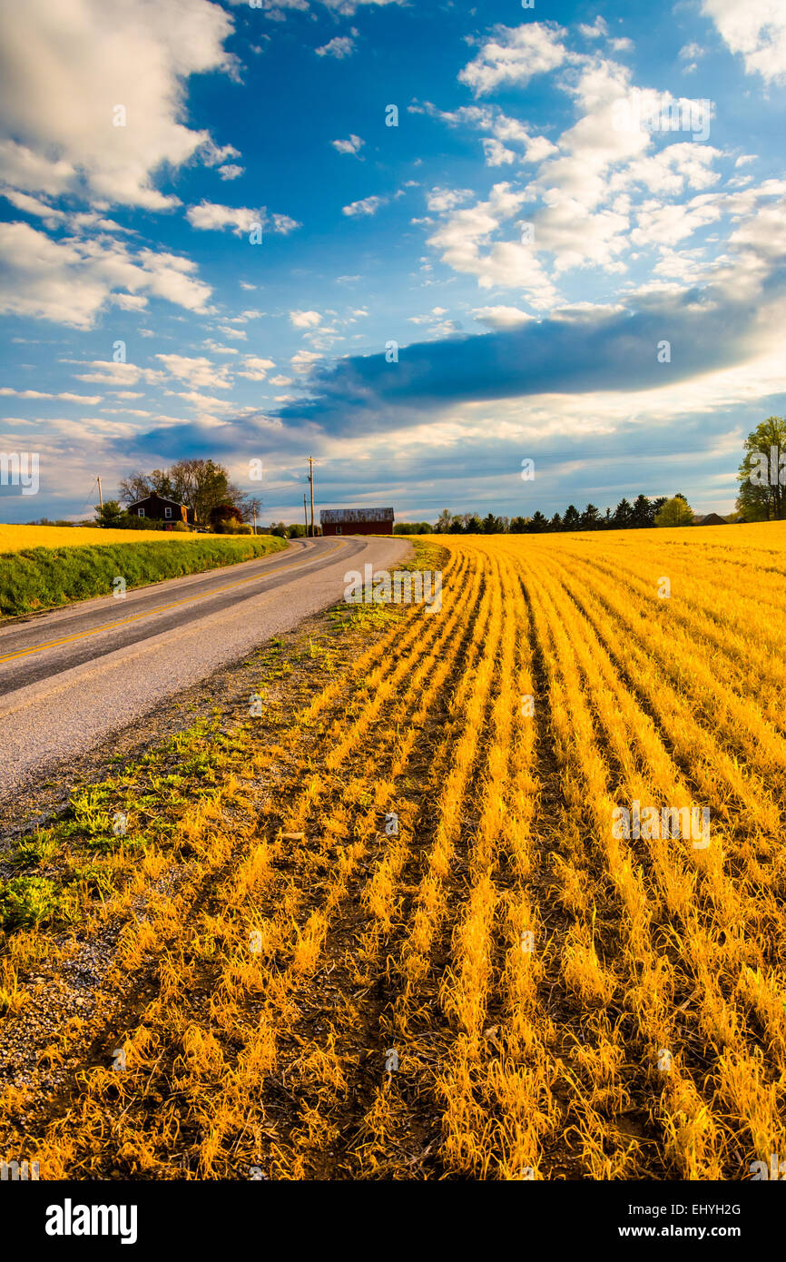 Route de campagne et les champs agricoles en milieu rural dans le comté de York, Pennsylvanie. Banque D'Images