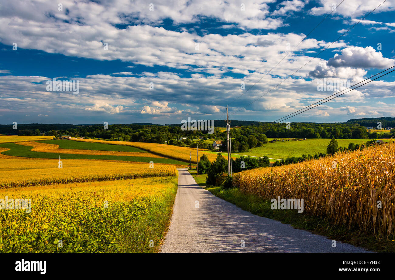 Route de campagne et vue sur collines près de traverser des routes, en Pennsylvanie. Banque D'Images