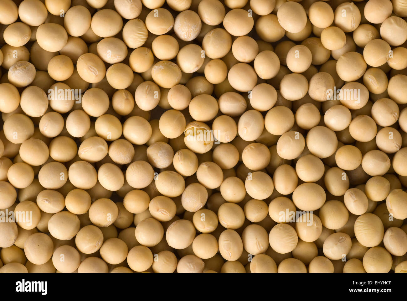 Soja background close up Image complète. Banque D'Images