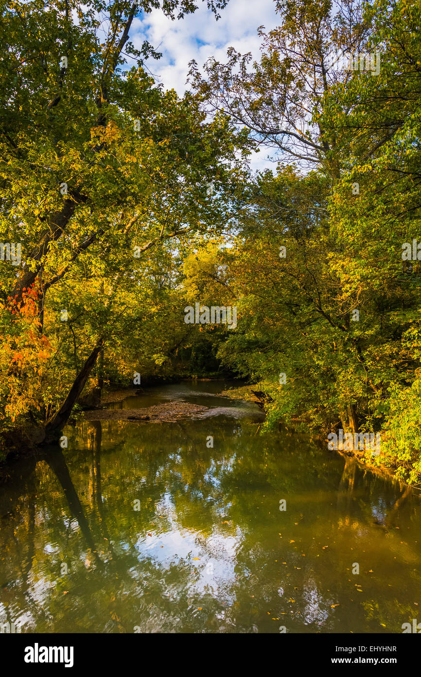 Au début de l'automne couleur le long d'un ruisseau dans les régions rurales du comté d'Adams, en Pennsylvanie. Banque D'Images
