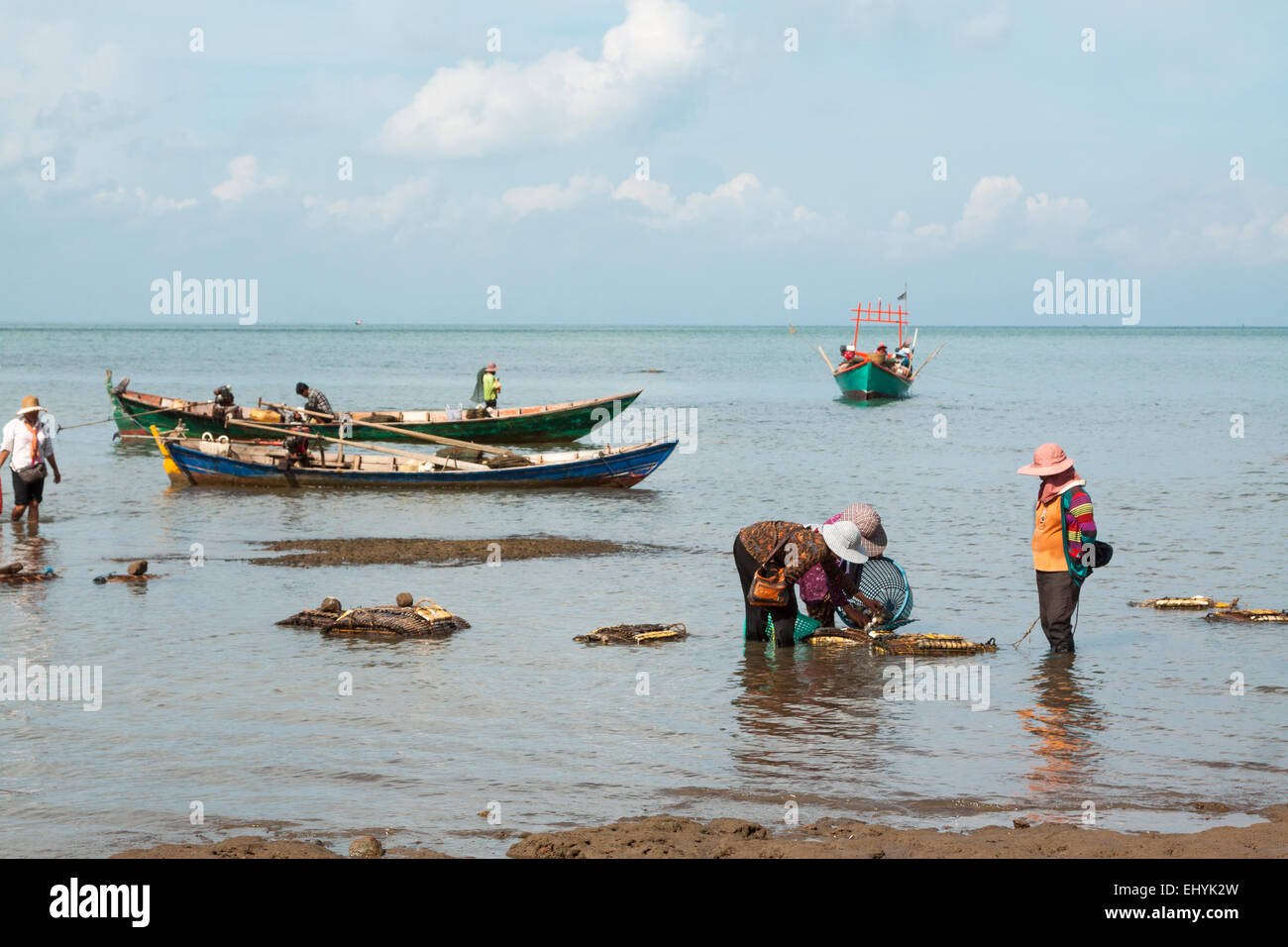 Marché du crabe à Kep, au Cambodge. Occupation traditionnelle pour faire une vie. L'approvisionnement de leurs bateaux de pêche du crabe nuit prises à Banque D'Images