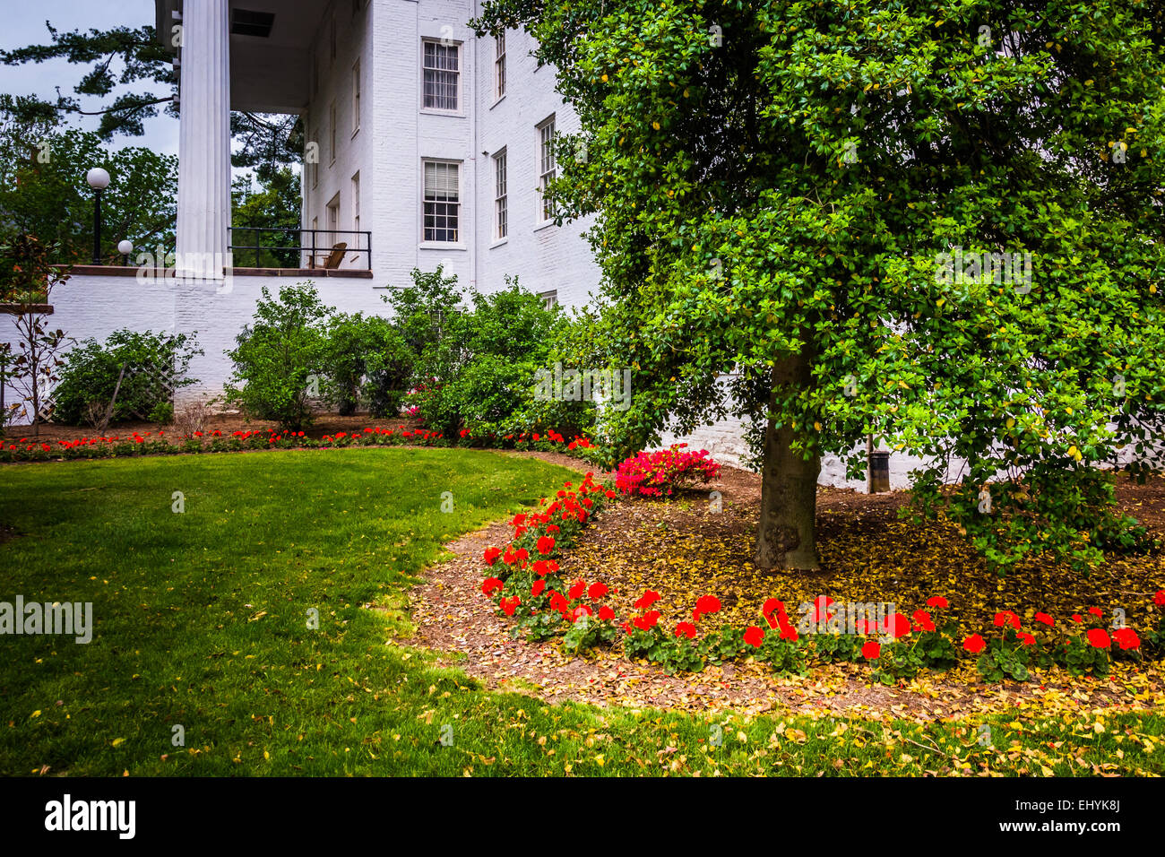 Des fleurs, des arbres et des capacités au Gettysburg College, Gettysburg, Pennsylvanie. Banque D'Images