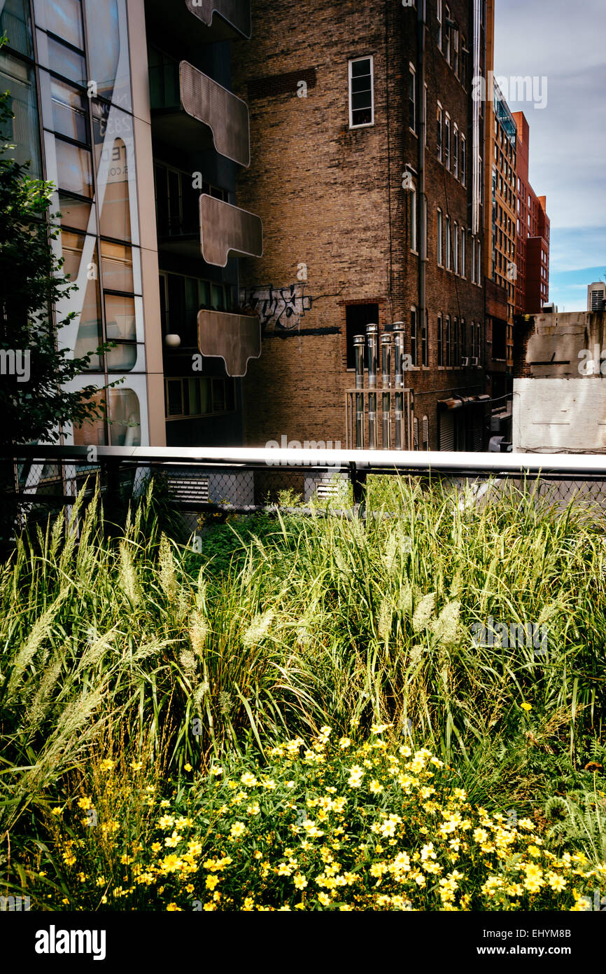 Les herbes et les capacités le long de la ligne haute, Manhattan, New York. Banque D'Images