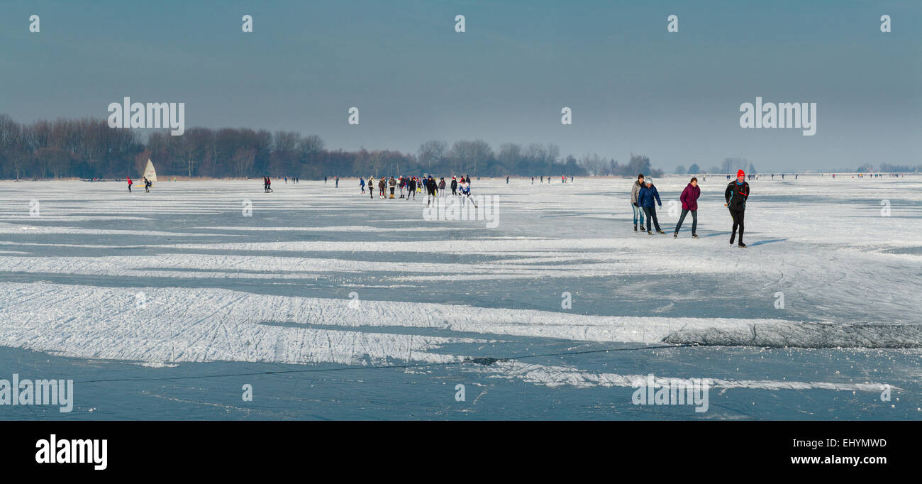 Pays-bas, la Hollande, l'Europe, Monnickendam, le patinage, l'Ijsselmeer, paysage, eau, hiver, neige, glace, les gens, les patineurs, Banque D'Images