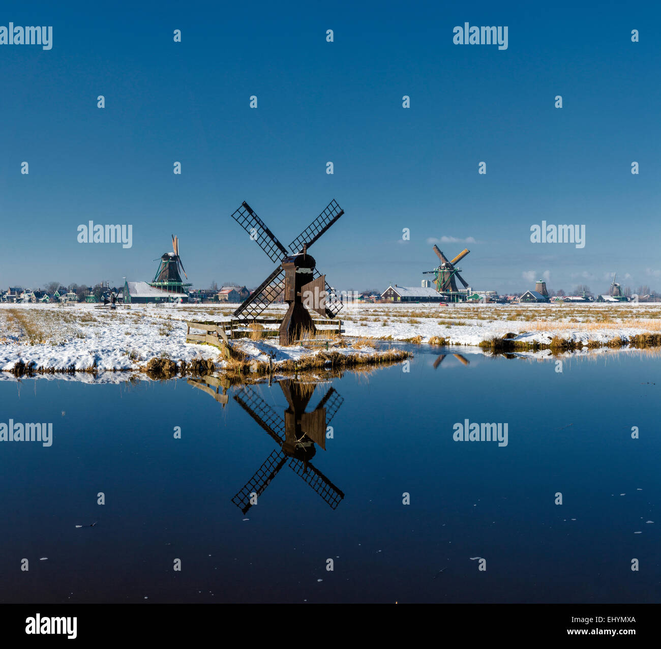 Pays-bas, la Hollande, l'Europe, Zaandam, rivière, Zaan, moulin, champ, pré, eau, hiver, neige, glace, réflexions, Banque D'Images