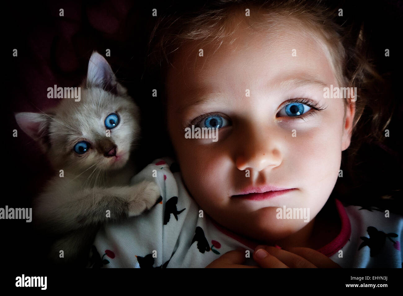 Portrait d'une fille avec son chat animal Banque D'Images
