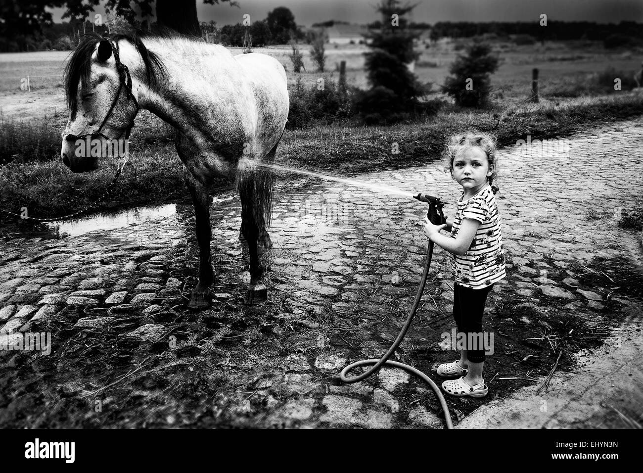 Fille debout à l'extérieur lavant son cheval Banque D'Images