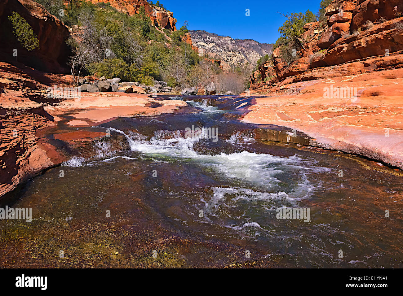 Oak Creek, Slide Rock State Park, Arizona, USA Banque D'Images