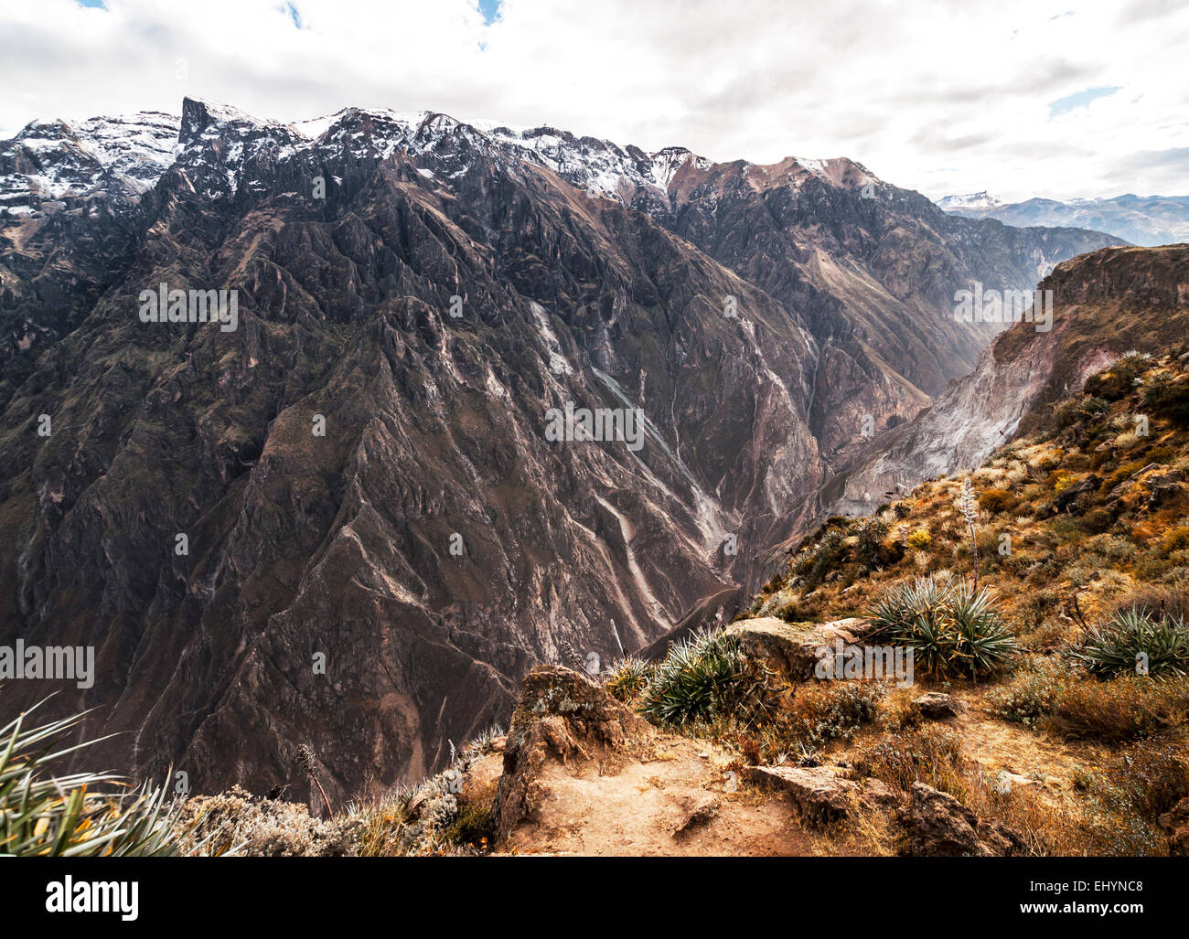 Canyon de Colca, Arequipa, Pérou Banque D'Images