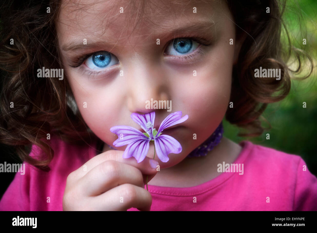 Portrait d'une fille qui sent une fleur sauvage Banque D'Images