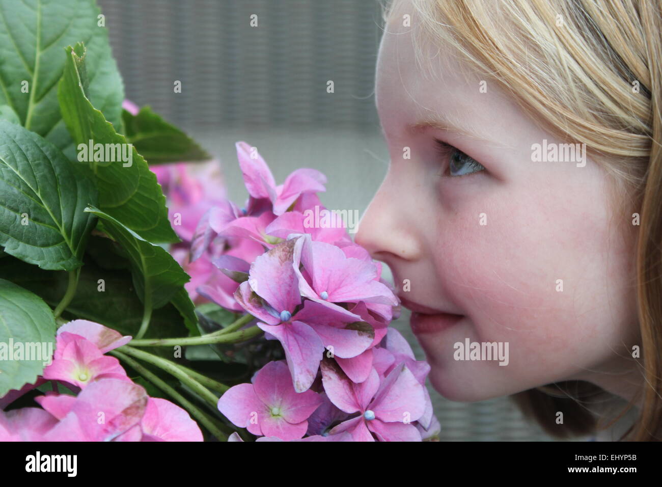 Une fille sentant des fleurs fraîches qui poussent dans un jardin Banque D'Images