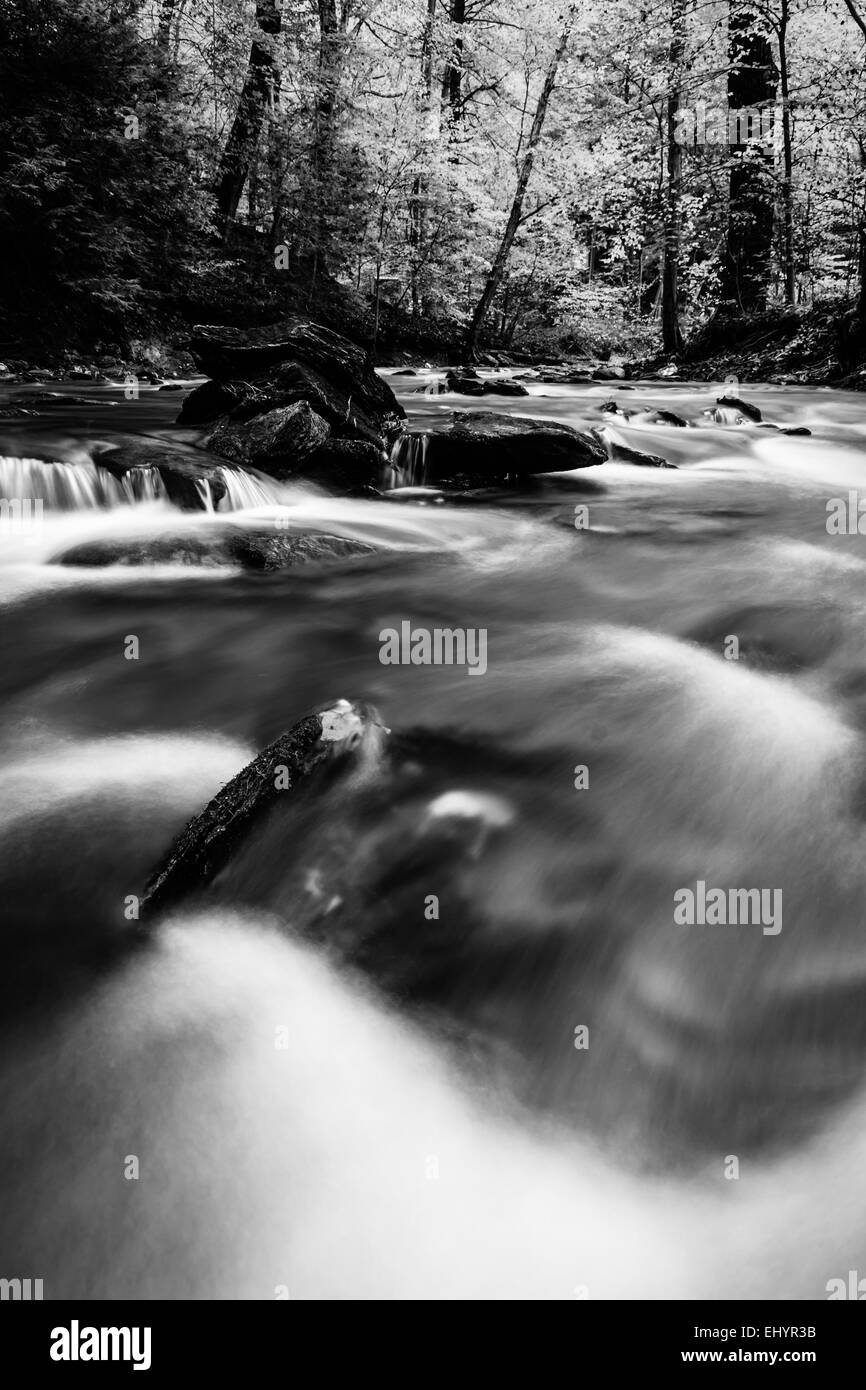 Une longue exposition de cascades le Tucquan Creek, dans le comté de Lancaster, Pennsylvanie. Banque D'Images