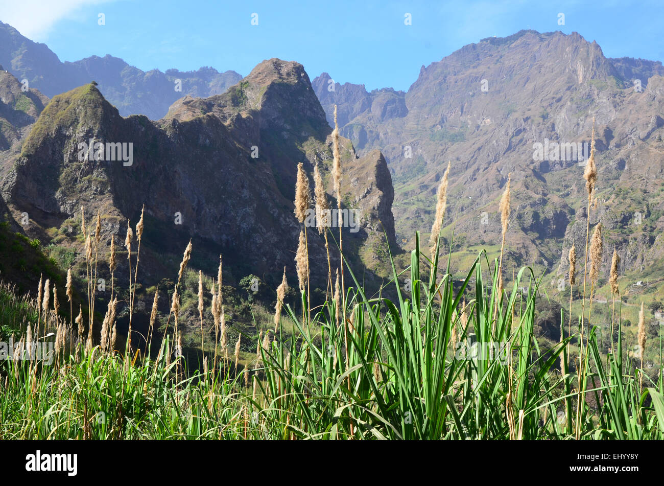 Cap-vert, Iles du Cap Vert, Santo antao, Paul, la vallée, la canne à sucre, les roches, l'EITO, falaises, montagnes, de palmiers, de Saccharum officinaru Banque D'Images