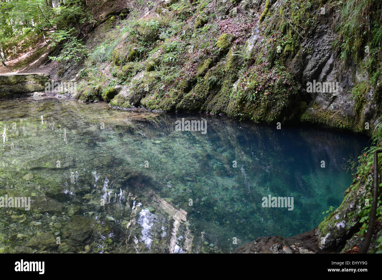 France, Europe, Jura, malbuisson, printemps, source, source, l'eau bat Banque D'Images