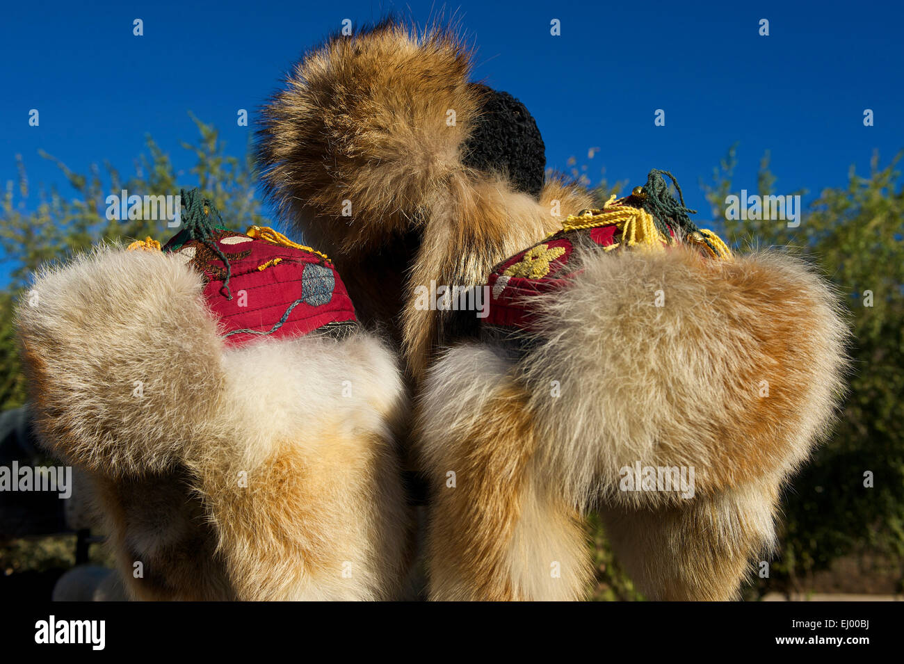 L'Asie, l'Ouzbékistan, en Asie centrale, route de la soie, à l'extérieur,  jour, bonnet de fourrure, bonnet, chapeau, vêtements, traditionnelle,  personne, Chiwa, Xiva Photo Stock - Alamy