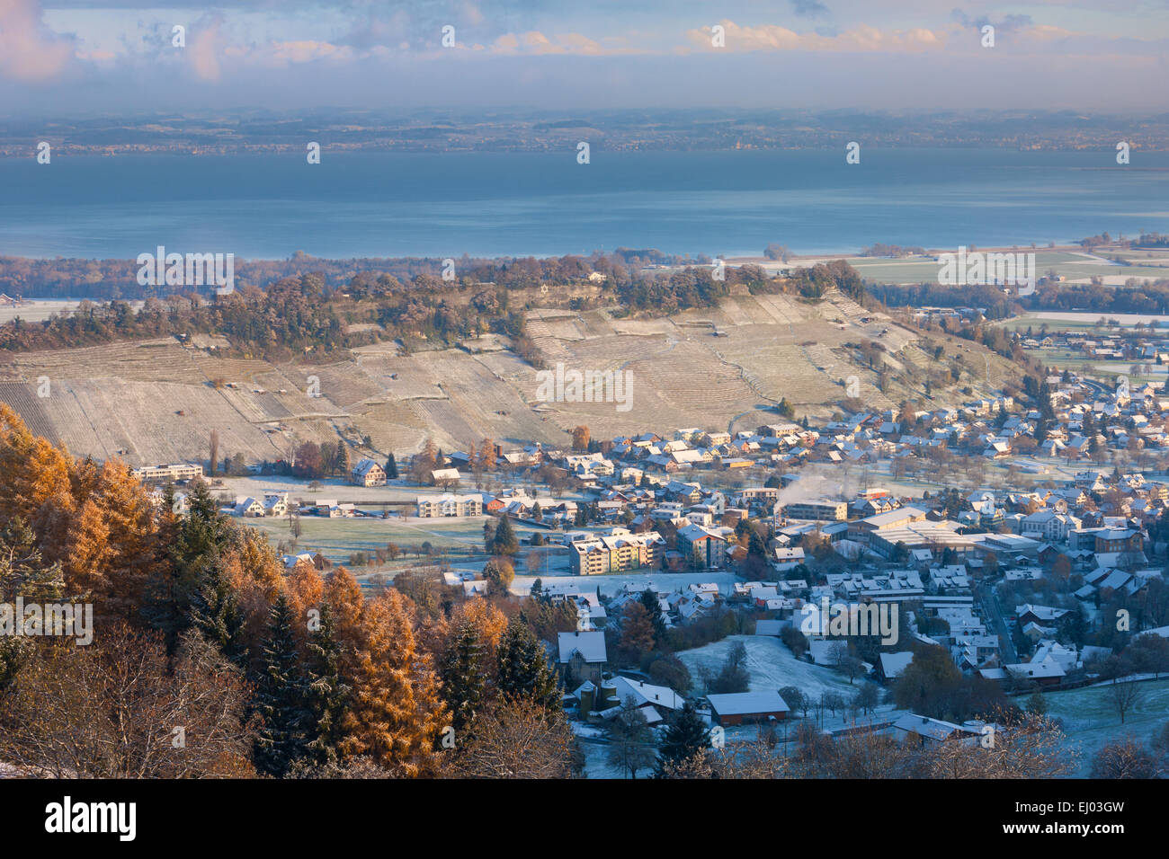 Thal, Suisse, Europe, canton de Saint-Gall, vallée du Rhin, le lac de Constance, neige, hiver Banque D'Images