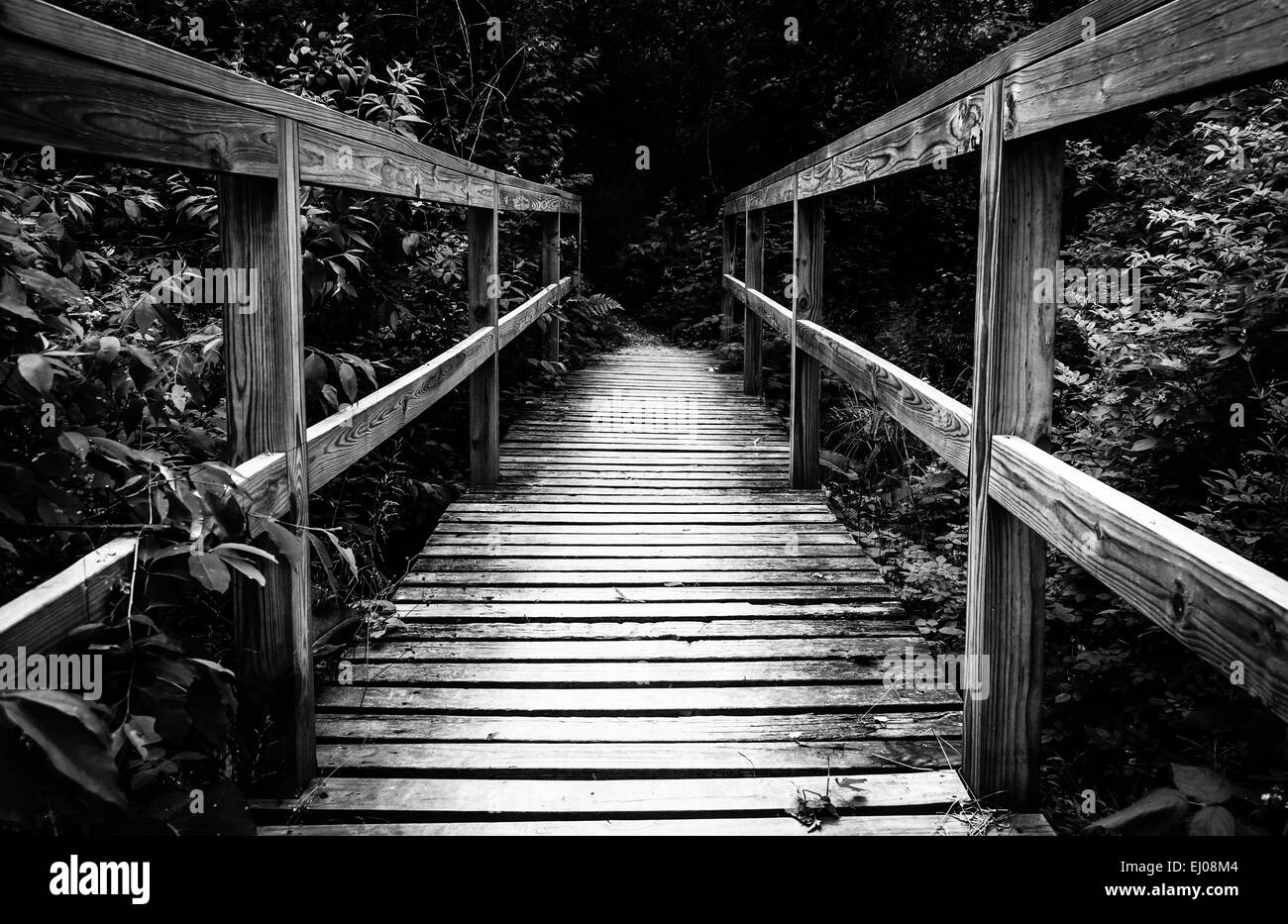 Petit pont sur un sentier dans le parc d'état de Codorus, Pennsylvanie. Banque D'Images