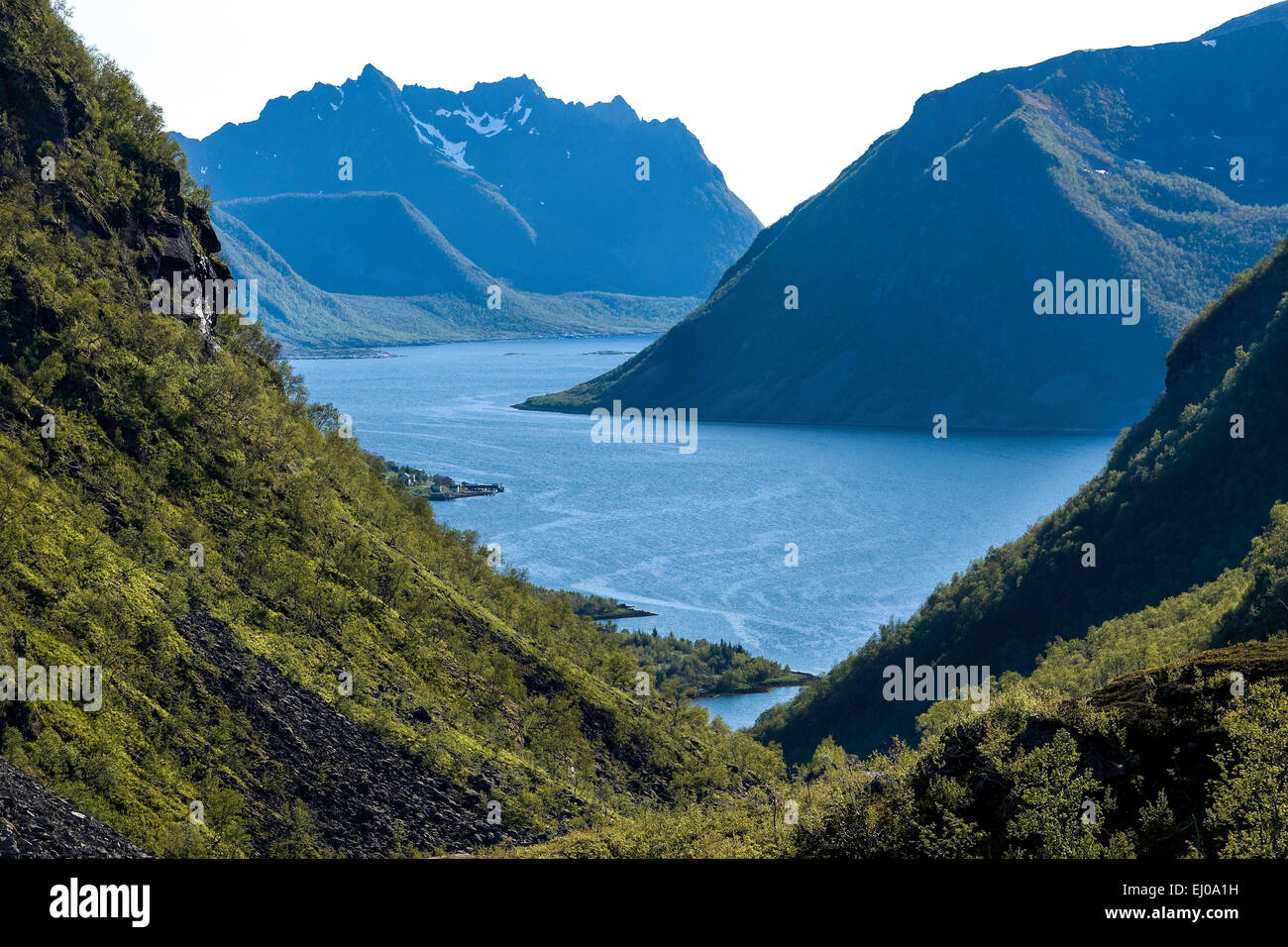 Montagne, montagnes, bay, fjord, montagnes, littoral, paysage, plage, littoral, paysage, nature, Norvège, Europe, Senja, Sifjord, ste Banque D'Images