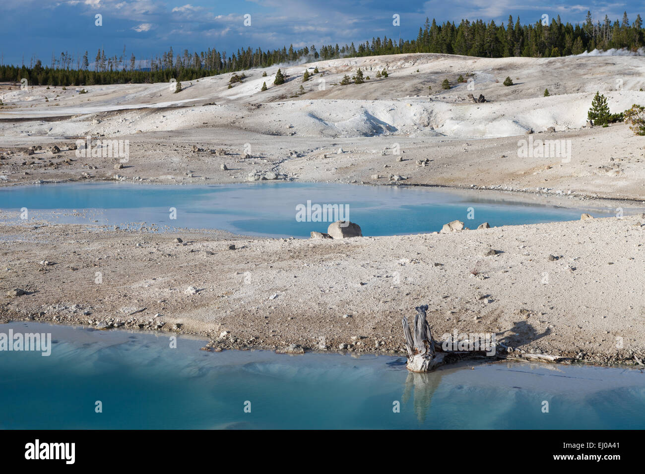 Dans le lavabo en porcelaine, Norris Geyser Basin, Parc National de Yellowstone, Wyomin, États-Unis d'Amérique. Banque D'Images