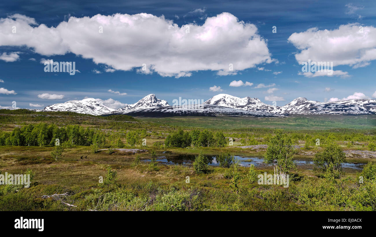 Le bois de bouleau, de montagnes, montagnes, ciel, paysage, paysage, Moor, nature, paysage naturel, la Norvège, l'Europe, champ de neige, lac Banque D'Images