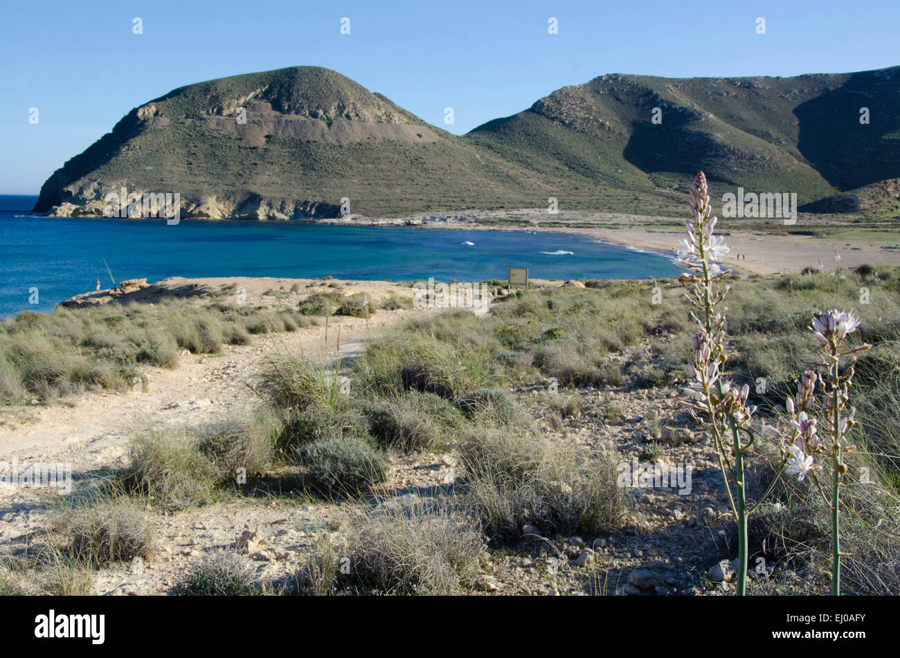 L'Espagne, Cabo de Gata, réserve naturelle, Almeria, Rodalquilar, côte, mer Méditerranée, plage, mer, plage de sable fin, Playazo Banque D'Images